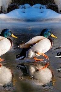 Ducks on the Go Journal