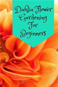 Dahlia Flower Gardening For Beginners