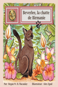 Beverlee, la chatte de Birmanie