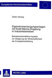 Eigenstromerzeugungsanlagen Mit Kraft-Waerme-Kopplung in Industriebetrieben