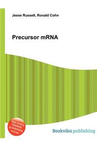 Precursor Mrna
