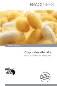 Glyphodes Sibillalis