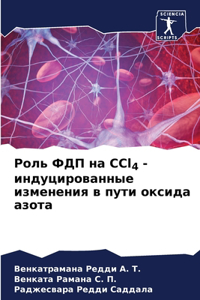 Роль ФДП на CCl4 -индуцированные изменения в l