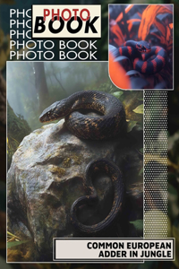 Common European Adder In Jungle Photo Book