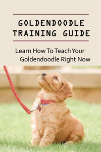 Goldendoodle Training Guide