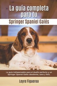 Guía Completa Para Tu Springer Spaniel Galés