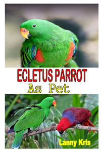 Ecletus Parrot as Pet