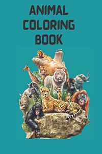 Animal Coloring Book