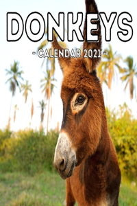 Donkeys Calendar 2021