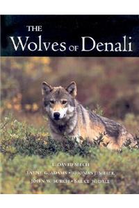 Wolves of Denali