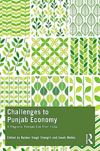 Challenges to Punjab Economy
