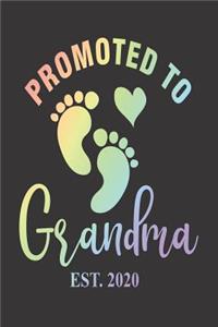 Promoted To Grandma Est. 2020