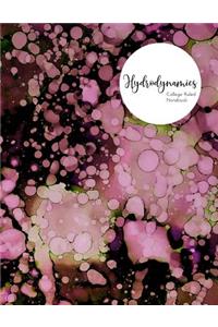 Hydrodynamics