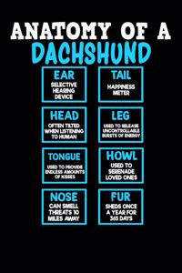 Anatomy of a Dachshund