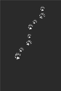 Racoon Paw Prints