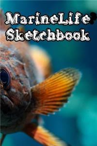 MarineLife SketchBook