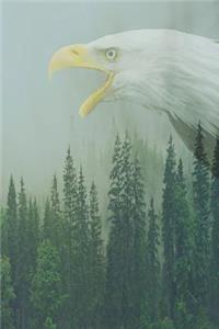 Bald Eagle journal