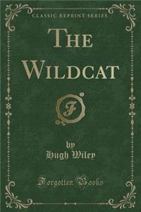 The Wildcat (Classic Reprint)