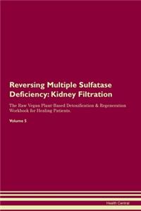 Reversing Multiple Sulfatase Deficiency: Kidney Filtration The Raw Vegan Plant-Based Detoxification & Regeneration Workbook for Healing Patients. Volume 5