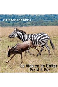 La Vida en un Crater