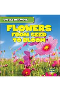 Flowers: From Seed to Bloom