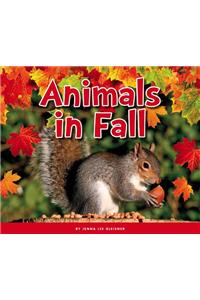 Animals in Fall