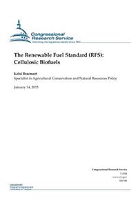 Renewable Fuel Standard (RFS)