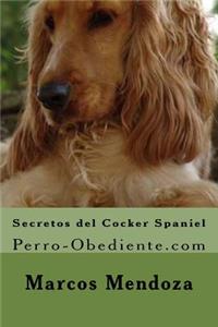 Secretos del Cocker Spaniel