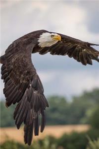 The Flying Eagle Journal