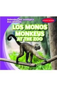 Los Monos / Monkeys at the Zoo