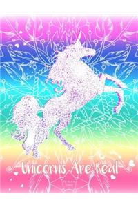 Rainbow Unicorn Notebook (Journal, Diary). Unicorns Are Real