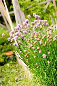 Purple Chives in an Herb Garden Journal