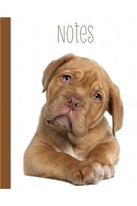 Cute Dog, Notes, Notebook, Journal