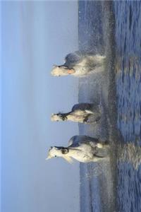 White Horses in the Ocean Surf Journal