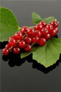 Red Currant Berries Journal