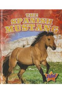 The Spanish Mustang