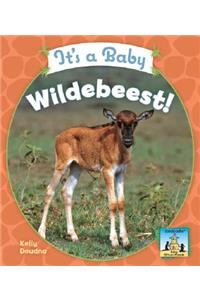 It's a Baby Wildebeest!