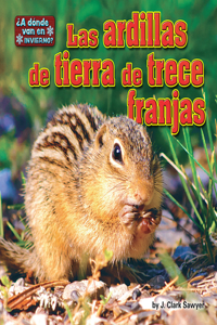 Las Ardillas de Tierra de Trece Franjas (Thirteen-Lined Ground Squirrels)