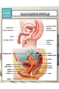 Urogenital System (Speedy Study Guides)