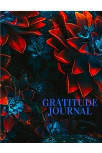 Gratitude Journal