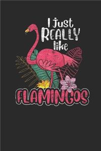 I Just Really Like Flamingos