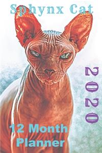 Sphynx Cat 2020 12 Month Planner
