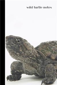 wild turtle notes