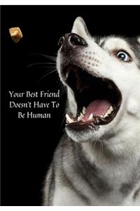 Your Best Friend Doesn't Have to be Human