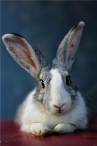 Rabbit Ears Journal