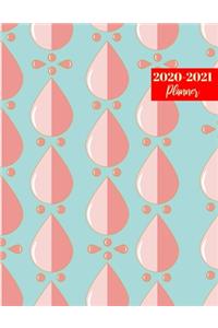 2020-2021 Planner