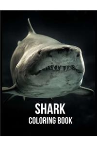 Shark Coloring Book
