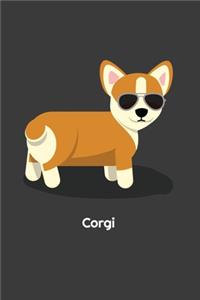 Corgi