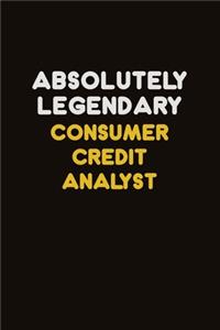 Absolutely Legendary Consumer Credit Analyst