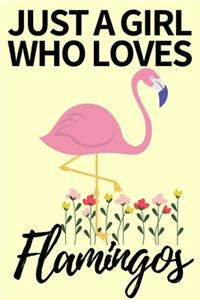 Just A Girl Who Loves Flamingos